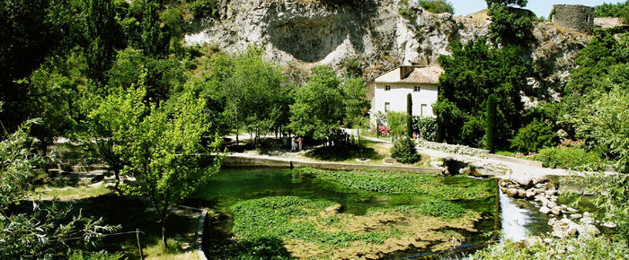 Musée-bibliothèque Pétrarque